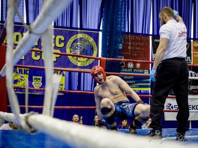 arkowiec-fight-cup-2015-by-tomasz-maciejewski-41084.jpg